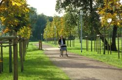 papenburg-2 037_37.jpg